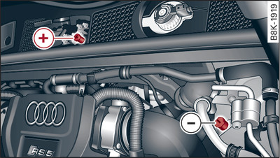 Engine compartment: Terminals for jump leads and battery charger